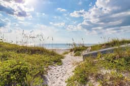 Beach Life